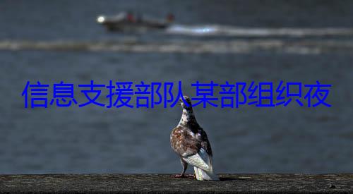 队某部组织信息支援部夜间修理训练图