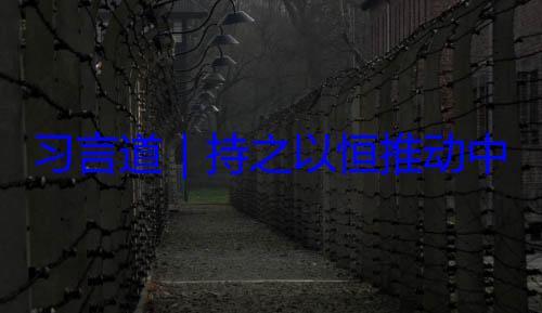 习言道持水平发展之以恒推动中俄关系高