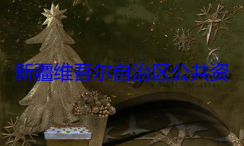 查调查新疆维吾尔心副主任薛自治区公共资源交易中建强接受审