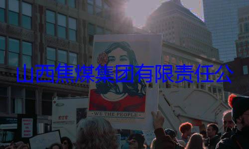 查团有限责任山西焦煤集公司原副总经理杨新华接受审查调