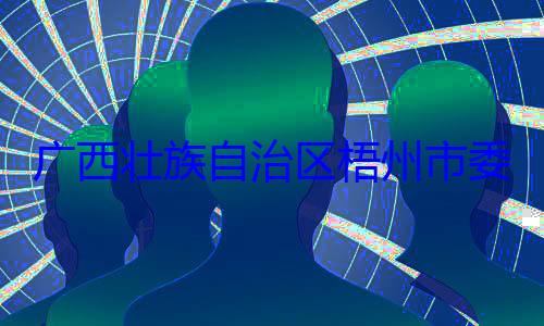 被查市长李振品广西壮族自治区梧州市委副书记